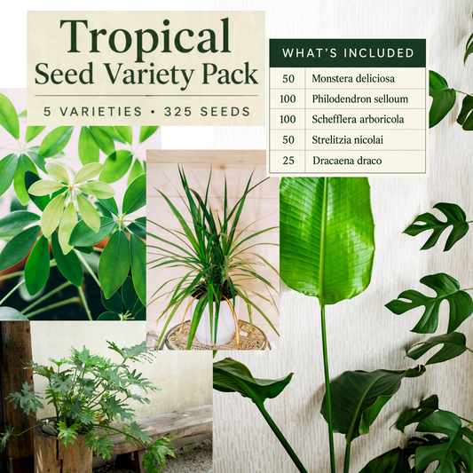 Tropical Seed Variety Pack – 5 Varieties, 325 Seeds