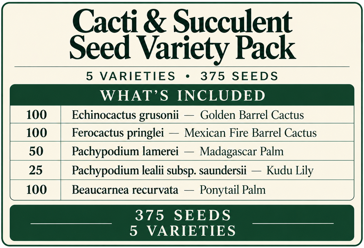 Cacti & Succulent Seed Variety Pack – 5 Varieties, 375 Seeds