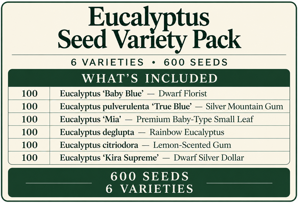 Eucalyptus Seed Variety Pack – 6 Varieties, 600 Seeds