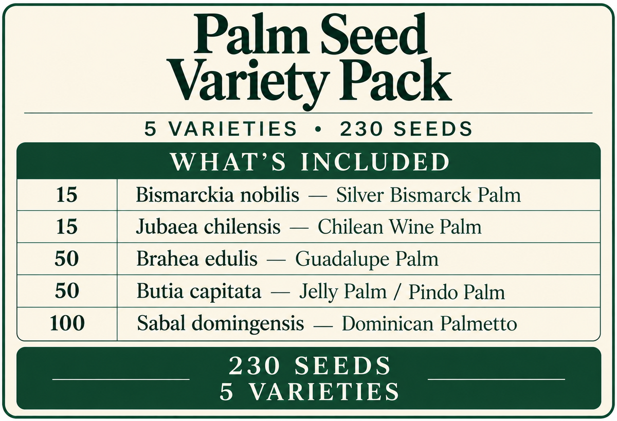 Palm Seed Variety Pack – 5 Varieties, 230 Seeds