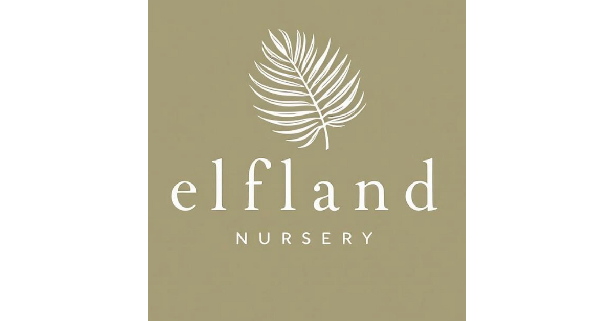 Pricing and Availability – Elfland Nursery