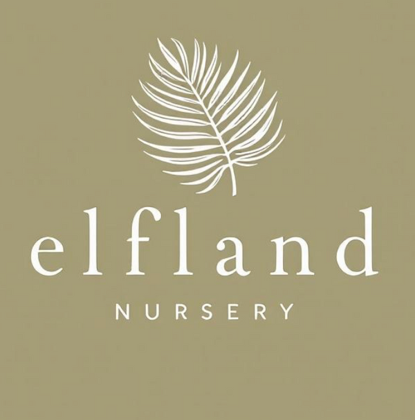 Elfland Nursery