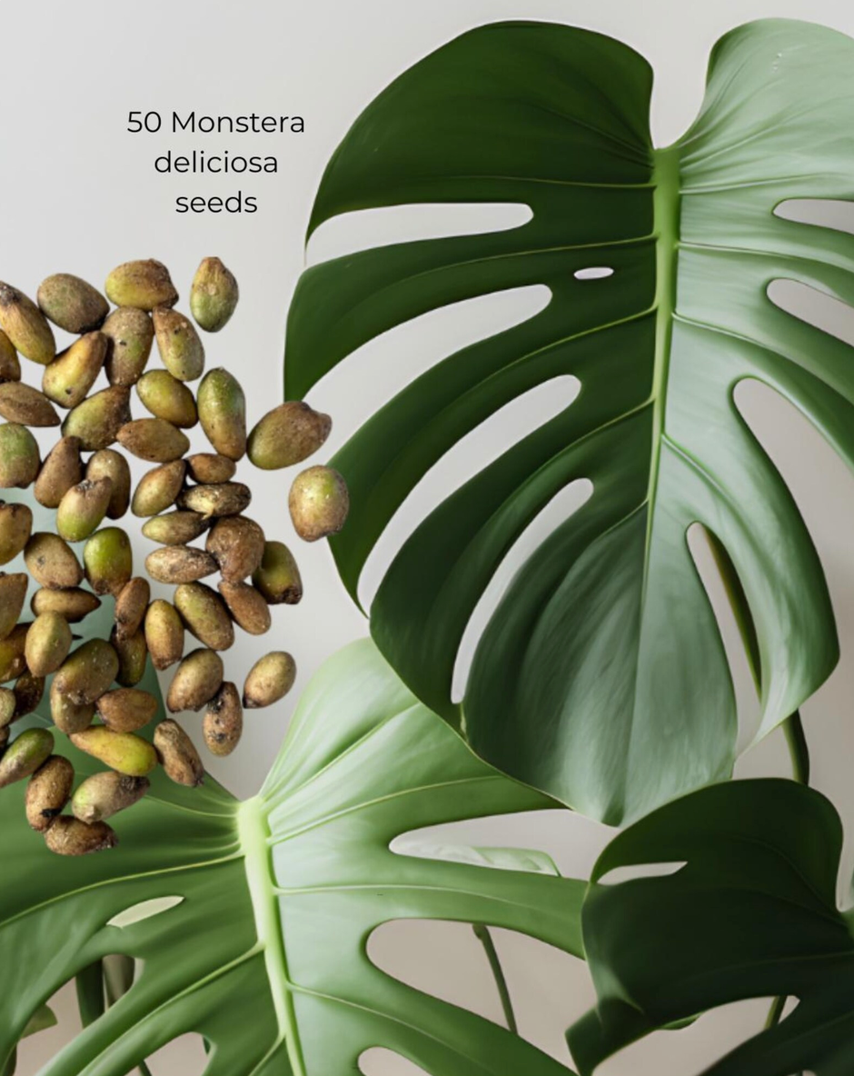 Tropical Seed Variety Pack – 5 Varieties, 325 Seeds