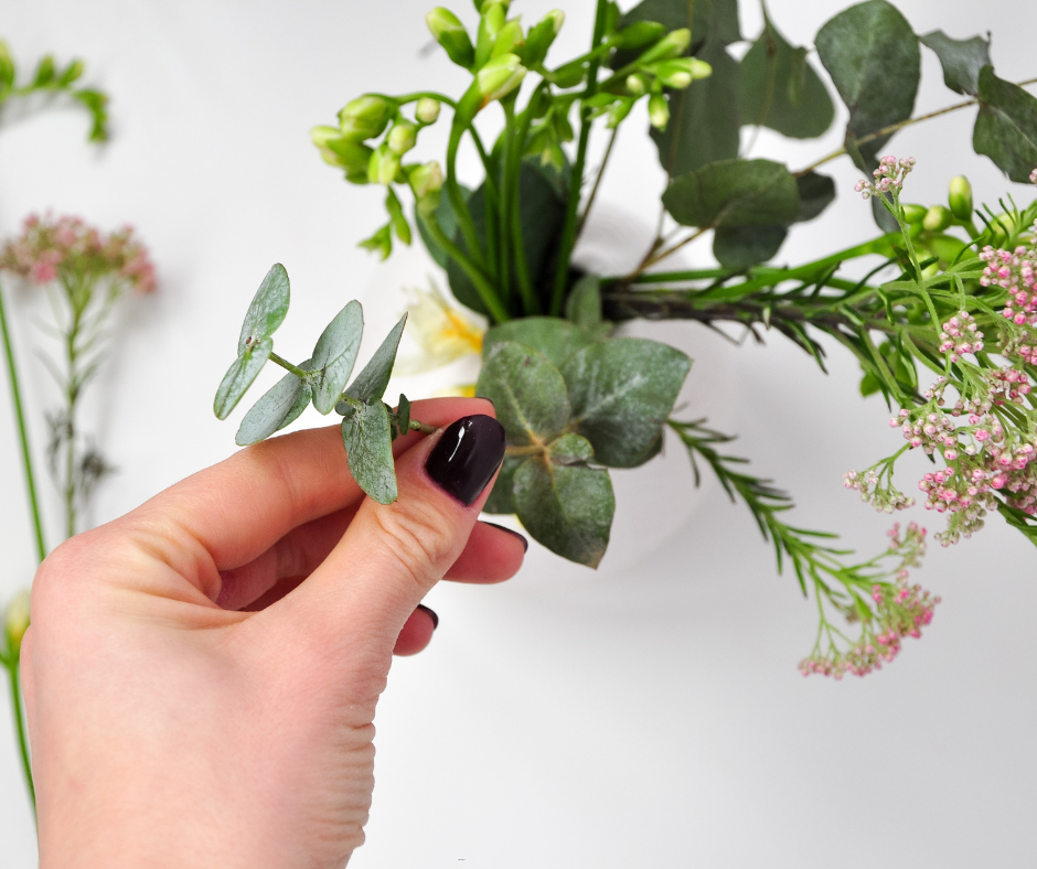 Eucalyptus Baby Blue (Dwarf Florist) - 1,000 Seeds - Bulk